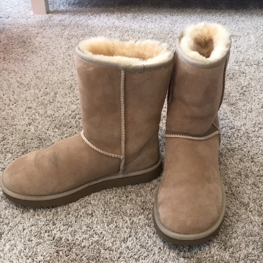 light brown/ tan  classic short ugg boots